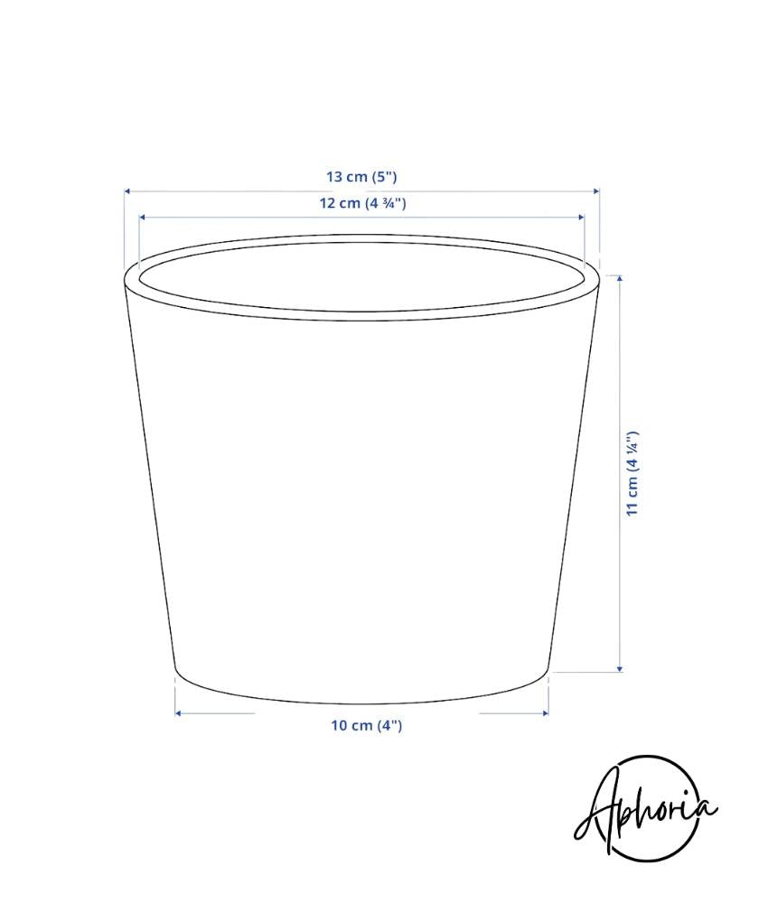 🌸 Pink Peony Delight