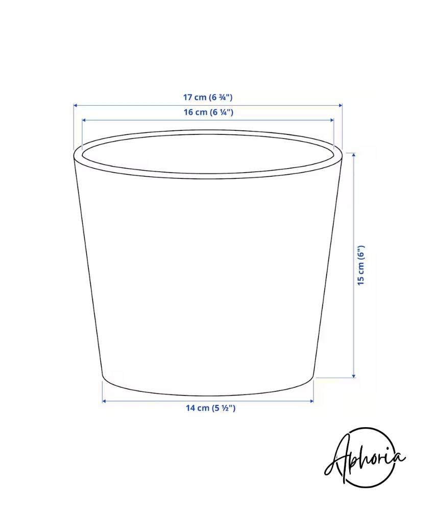 🦋 Butterfly Garden Bloom – XL Bouquet